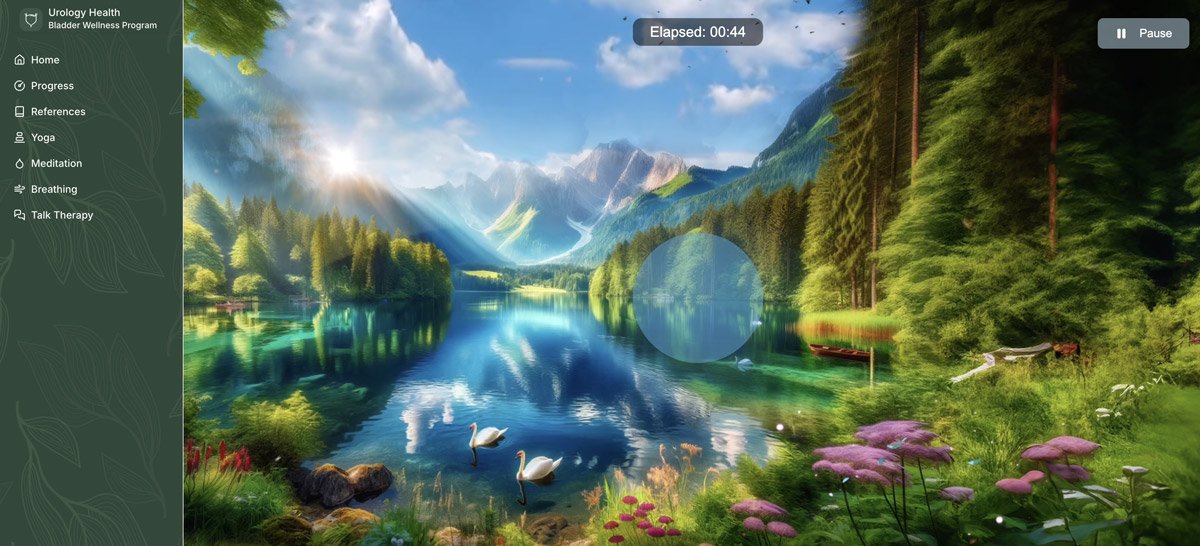 A meditation session inside the app